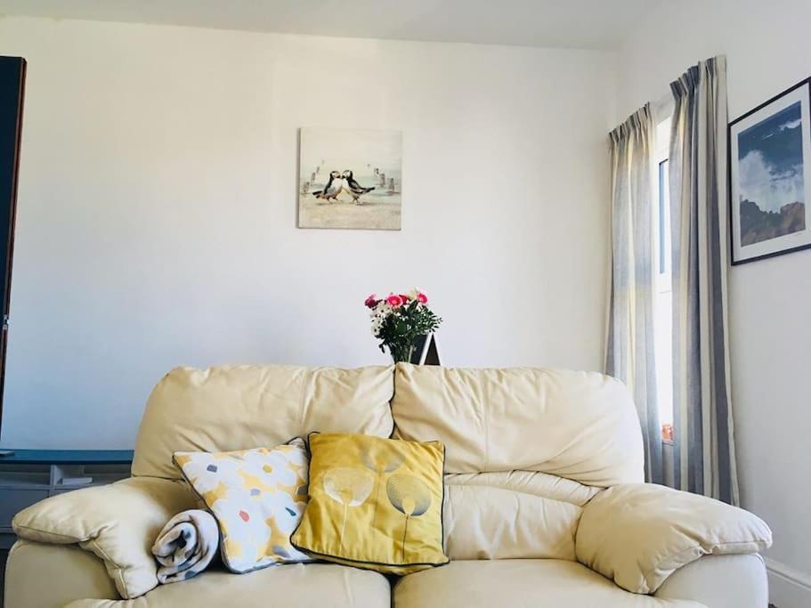 Hillcrest Cottage, Comfy Flat, Trendy Uplands Area สวอนซี ภายนอก รูปภาพ
